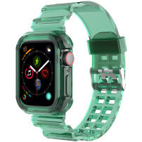 Odolné púzdro s transparentným remienkom pre Apple Watch 46mm - zelené